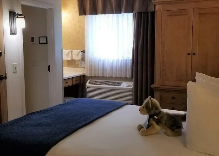 The Rockwell 3* Jackson