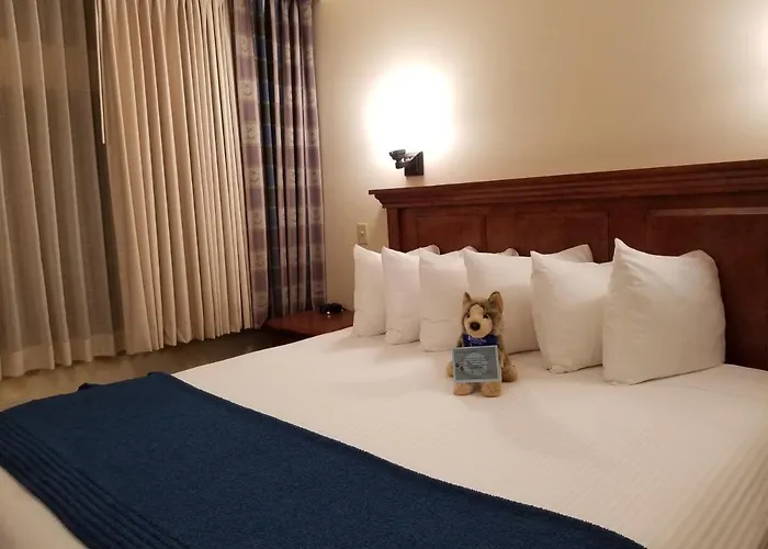 Hotel The Rockwell Jackson